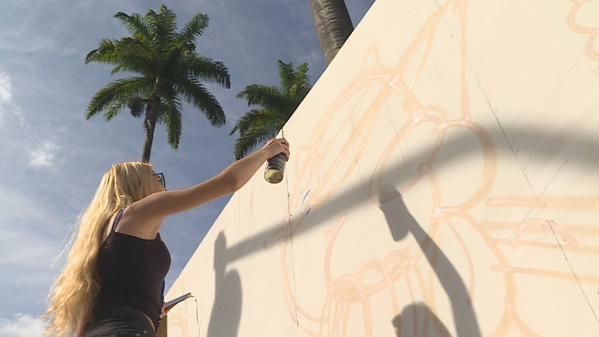 Artistas pintam tapumes e fazem mural no entorno da Praça da Liberdade, em BH | Minas Gerais