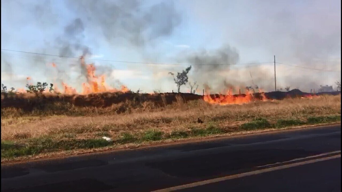 Bombeiros combatem vários focos de incêndio no Distrito Industrial em Uberlândia; veja vídeo | Triângulo Mineiro