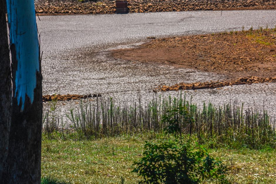 Onda de calor impacta soja e milho e pode explicar estimativa pior para safras de 2024, diz Embrapa