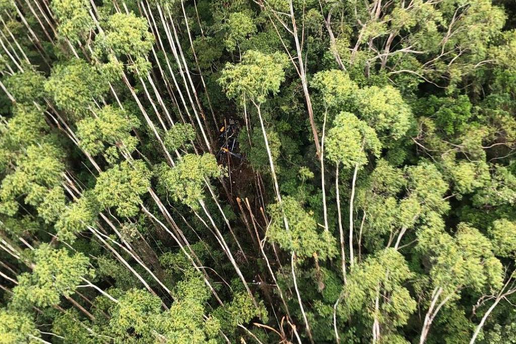 Helicóptero desaparecido é encontrado em Paraibuna (SP) – 12/01/2024 – Cotidiano