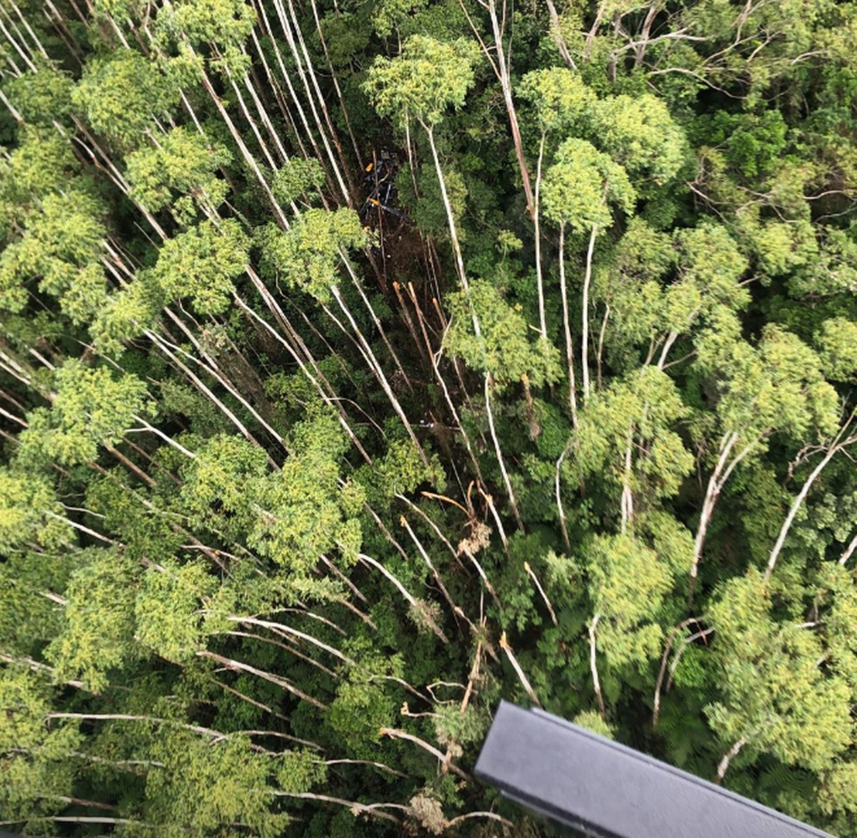 Helicóptero desaparecido em SP é encontrado em Paraibuna; veja foto