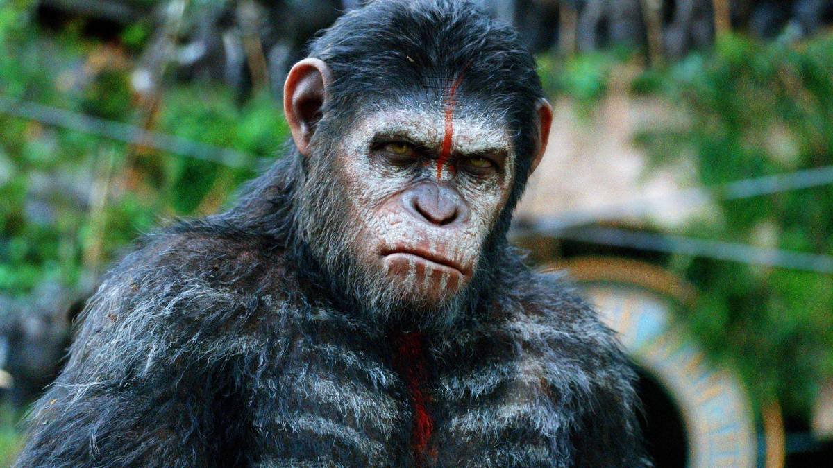 Planeta dos Macacos: veja ordem dos filmes e onde assistir online