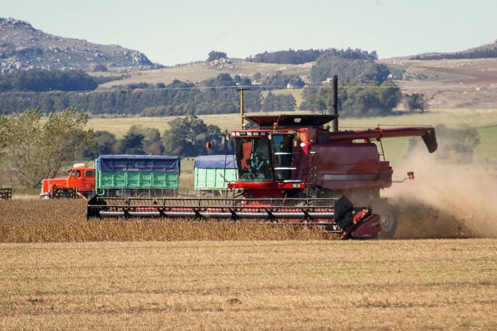 O que acontece na agricultura argentina, pilar do superávit e dólar