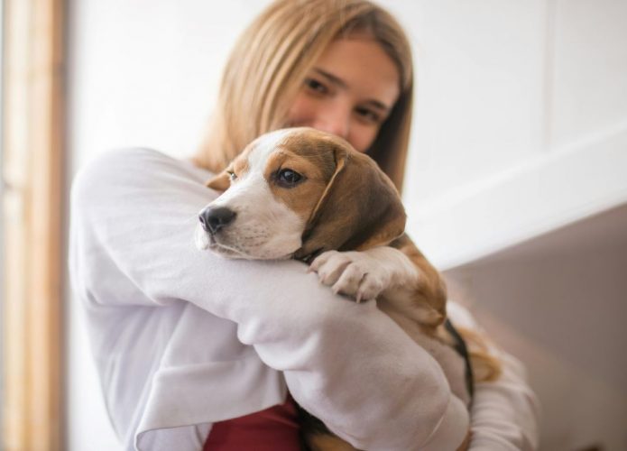 qual é a melhor companhia?