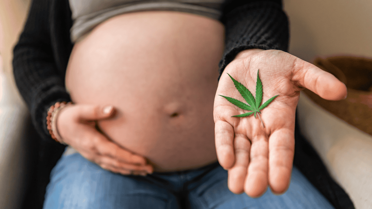 Cannabis e nicotina na gravidez quadruplicam risco de óbito infantil